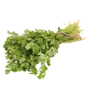 Cilantro (Dhaniya) 2 bundles