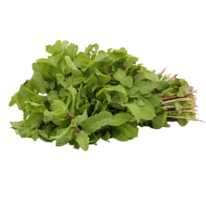 Peppermint (Podina) 1 Bundle