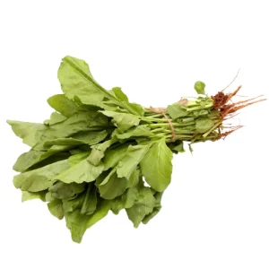 Spinach (Palak) 500gm